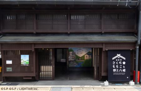さくらももこが愛した町・郡上八幡との物語を伝える施 さくらももこが愛した町・郡上八幡との物語を伝える施