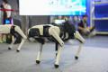 DOBOT最新協働ロボットとヒューマノイドをRobot Techn DOBOT最新協働ロボットとヒューマノイドをRobot Techn