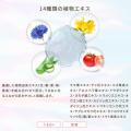 Z世代の新定番は「顔の“はんぶん”だけ」!? ~伝統の土 Z世代の新定番は「顔の“はんぶん”だけ」!? ~伝統の土