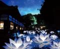 「そうだ 京都、行こう。Presents 青蓮華の夏灯り-青 「そうだ 京都、行こう。Presents 青蓮華の夏灯り-青