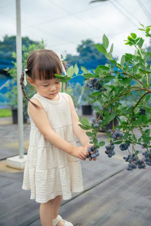 「自分で摘んでパクッ!」子どもの“やりたい”があふれ 「自分で摘んでパクッ!」子どもの“やりたい”があふれ