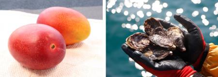 【旬のおすすめグルメ】初夏の「海の幸&山の幸」はや 【旬のおすすめグルメ】初夏の「海の幸&山の幸」はや