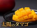 【旬のおすすめグルメ】初夏の「海の幸&山の幸」はや 【旬のおすすめグルメ】初夏の「海の幸&山の幸」はや