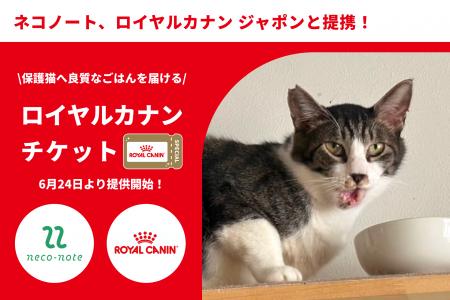 保護猫スポンサーシップ「ネコノート」、ロイヤルカナ 保護猫スポンサーシップ「ネコノート」、ロイヤルカナ