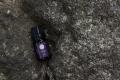 「香りは、もう一つの花。」華道家・美榮が手掛ける天 「香りは、もう一つの花。」華道家・美榮が手掛ける天