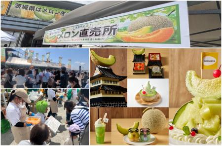 5日間でメロン販売数8,000玉突破!!『常総メロutf-8 5日間でメロン販売数8,000玉突破!!『常総メロutf-8
