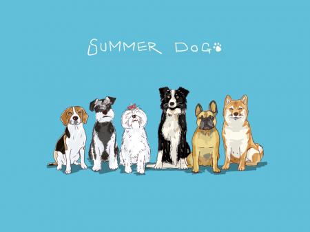 犬とビールを愛するコレクティブ「SUMMER DOG」がマル 犬とビールを愛するコレクティブ「SUMMER DOG」がマル