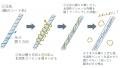 「触覚から、一日のノイズをほどく」創業80年の泉州タ 「触覚から、一日のノイズをほどく」創業80年の泉州タ