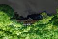 京都・東福寺「ZEN NIGHT 東福寺」が好評につき開催期 京都・東福寺「ZEN NIGHT 東福寺」が好評につき開催期