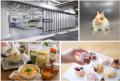 【玉川高島屋S.C.】夏のイベント&全館セール情utf-8 【玉川高島屋S.C.】夏のイベント&全館セール情utf-8