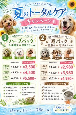【PetsTokyo 飯田橋店】夏のトータルケアキャンペーン 【PetsTokyo 飯田橋店】夏のトータルケアキャンペーン