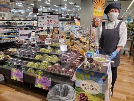 オーストラリア産ぶどう、日本向け輸入量が大幅増 過 オーストラリア産ぶどう、日本向け輸入量が大幅増 過