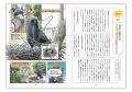 都会で暮らす野鳥たちの秘密に迫る『鳥たちはなぜ都会 都会で暮らす野鳥たちの秘密に迫る『鳥たちはなぜ都会