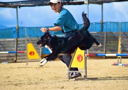 【学校法人立志舎】災害救助犬世界チャンピオン 中野 【学校法人立志舎】災害救助犬世界チャンピオン 中野