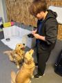 愛犬との毎日がもっと楽しくなる。WHATAWONに本格ドッ 愛犬との毎日がもっと楽しくなる。WHATAWONに本格ドッ