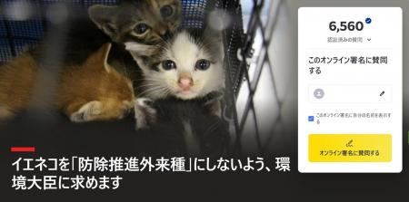 イエネコの「防除推進外来種」指定に反対――環境大臣に イエネコの「防除推進外来種」指定に反対――環境大臣に