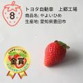 おいしい「夏いちご」NO.1が決定!日本一は、奈良県 おいしい「夏いちご」NO.1が決定!日本一は、奈良県