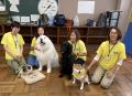 セラピー犬とのふれあいを通じて子どもたちに笑顔を。 セラピー犬とのふれあいを通じて子どもたちに笑顔を。