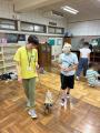 セラピー犬とのふれあいを通じて子どもたちに笑顔を。 セラピー犬とのふれあいを通じて子どもたちに笑顔を。