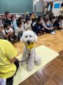 セラピー犬とのふれあいを通じて子どもたちに笑顔を。 セラピー犬とのふれあいを通じて子どもたちに笑顔を。