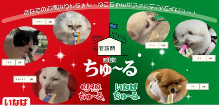 デジタルサイネージ「ファミマTV」の人気番組「わんに デジタルサイネージ「ファミマTV」の人気番組「わんに