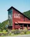 【徳島限定】阿波踊りシーズン到来!すだち香るクラフ 【徳島限定】阿波踊りシーズン到来!すだち香るクラフ