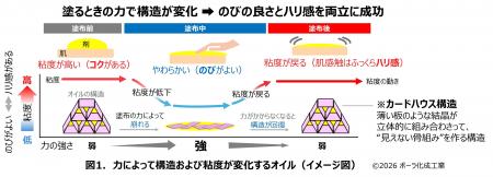 アイクリームのための新しい化粧膜設計 アイクリームのための新しい化粧膜設計