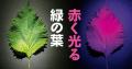 「夏休みの自由研究スペシャル 2026」を公開 「夏休みの自由研究スペシャル 2026」を公開