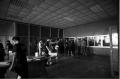 Cinematic Quantum: The Innovative Eye of a Cinemat Cinematic Quantum: The Innovative Eye of a Cinemat