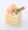 みずみずしさと芳醇な香りの桃が主役!桃スイーツセレ みずみずしさと芳醇な香りの桃が主役!桃スイーツセレ
