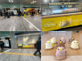 ぴよりん15周年!名古屋駅でサイネージ配信中。アライ ぴよりん15周年!名古屋駅でサイネージ配信中。アライ