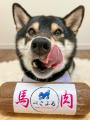 「伝えて、届ける」 ペットモが国産ロールフード「ぺ 「伝えて、届ける」 ペットモが国産ロールフード「ぺ