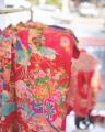 Reservations Open August 8 | Experience the Japan Reservations Open August 8 | Experience the Japan