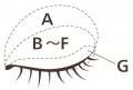 【ノエビア】ノエビア最高峰シリーズ「スペチアーレ」 【ノエビア】ノエビア最高峰シリーズ「スペチアーレ」