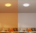 シグニファイ、日本市場初フィリップスLED シーリング シグニファイ、日本市場初フィリップスLED シーリング