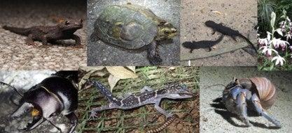 野生生物の違法・過剰利用による絶滅を防ぐため、27の 野生生物の違法・過剰利用による絶滅を防ぐため、27の