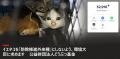 環境省の「イエネコ」防除推進外来種指定に反対。反対 環境省の「イエネコ」防除推進外来種指定に反対。反対