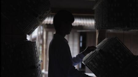 カイコが、ヒトと地球の健康を接続しなおす。 カイコが、ヒトと地球の健康を接続しなおす。