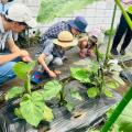 夏休み・共働き家庭の増加で減る「親子の体験時utf-8 夏休み・共働き家庭の増加で減る「親子の体験時utf-8