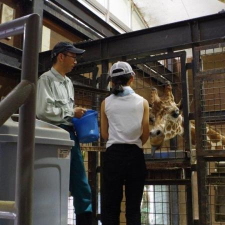 【徳島市】とくしま動物園 STELLA PRESCHOOL ANIMAL K 【徳島市】とくしま動物園 STELLA PRESCHOOL ANIMAL K