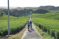 ドクターペダル、福岡県の「FUKUOKA サイクリングツア ドクターペダル、福岡県の「FUKUOKA サイクリングツア