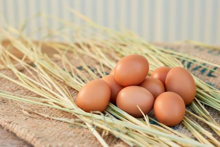 みよし市特産品 第一号に認定 こはくファーム(養鶏 みよし市特産品 第一号に認定 こはくファーム(養鶏