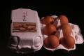 みよし市特産品 第一号に認定 こはくファーム(養鶏 みよし市特産品 第一号に認定 こはくファーム(養鶏