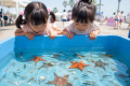 【大阪・泉南】海開きに合わせた新ビーチイベント「SE 【大阪・泉南】海開きに合わせた新ビーチイベント「SE