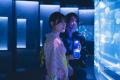 【京都水族館】大人も子どももわくわくが止まらutf-8 【京都水族館】大人も子どももわくわくが止まらutf-8