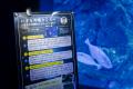 【京都水族館】大人も子どももわくわくが止まらutf-8 【京都水族館】大人も子どももわくわくが止まらutf-8
