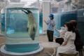 【京都水族館】大人も子どももわくわくが止まらutf-8 【京都水族館】大人も子どももわくわくが止まらutf-8