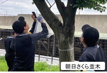 【埼玉県】クビアカツヤカミキリ被害防止キャンペーン 【埼玉県】クビアカツヤカミキリ被害防止キャンペーン