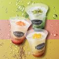 シアトルズベストコーヒーの新作!「フルーツドリンク シアトルズベストコーヒーの新作!「フルーツドリンク