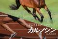 スポーツサプリメント『カルノパワーDAILY』全面utf-8 スポーツサプリメント『カルノパワーDAILY』全面utf-8